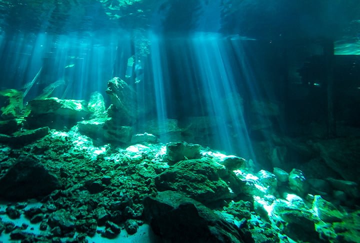 Cenote dos Ojos (México) - Cavernas inundadas por águas cristalinas, ligadas a rios subterrâneos, chamadas popularmente de "piscinas misteriosas". Reza a lenda maia que elas se formaram há milhares de anos pela queda de meteoros. 