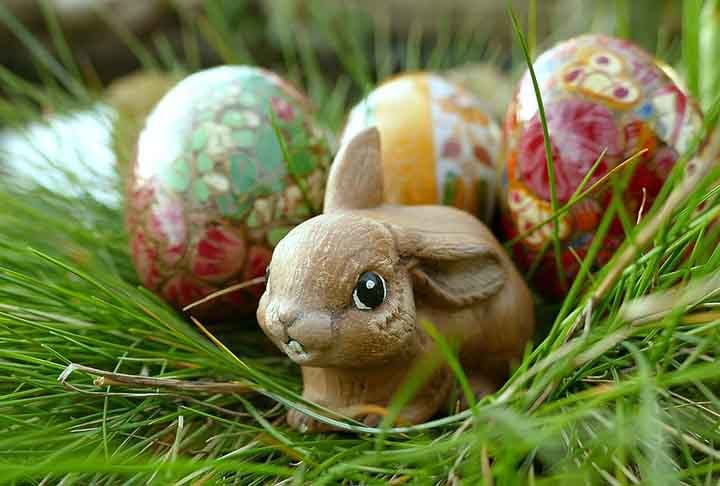 Por causa da PÃ¡scoa, associada simbolicamente a coelhos e ovos, muitas crianÃ§as- e atÃ© adultos - confundem as caracterÃ­sticas dos coelhos e imaginam que eles botam ovos. 