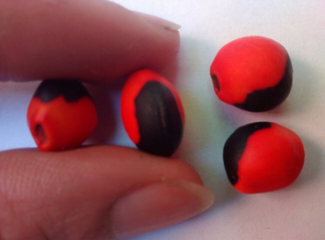 Olho de Cabra- Também chamado de "semente de olho de cabra", é um amuleto da sorte originário da América do Sul. Geralmente encontrado em lojas de artesanato ou online, é uma semente da árvore Ormosia coccinea, naturalmente polida pela água e pedras dos rios. Carregá-lo como amuleto, segundo a crença, traz proteção espiritual e afasta energias negativas.