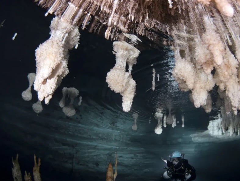 Bogdan Onac, professor da Escola de Geociências da Universidade do Sul da Flórida, declarou à CNN ser provável que a ponte na ilha de Maiorca (foto) tenha sido usada por 500 anos até ser engolida pela água. 

