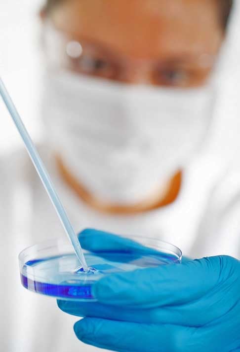 A equipe de cientistas extraiu cÃ©lulas-tronco de embriÃµes de macacos e injetou em embriÃµes nÃ£o relacionados da mesma espÃ©cie, o que culminou em uma gestaÃ§Ã£o.