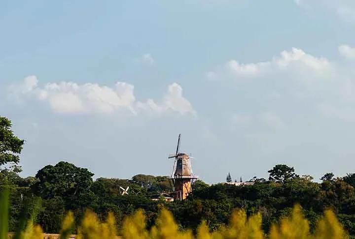 São cinco andares abertos para visitação que contam a história dos imigrantes, da construção de moinhos holandeses e deste próprio moinho. Ele tem 38 metros de altura e lá de cima permite uma vista privilegiada da cidade.
