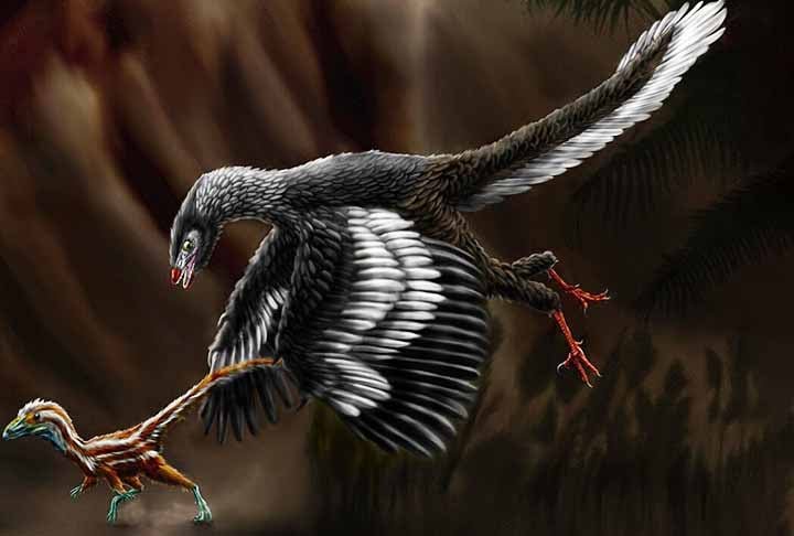 Ela viveu durante o período Jurássico (150 milhões de anos atrás), no que agora é o sul da Alemanha. Na época, a Europa era um arquipélago em um mar raso tropical quente, muito mais perto do equador do que é agora.