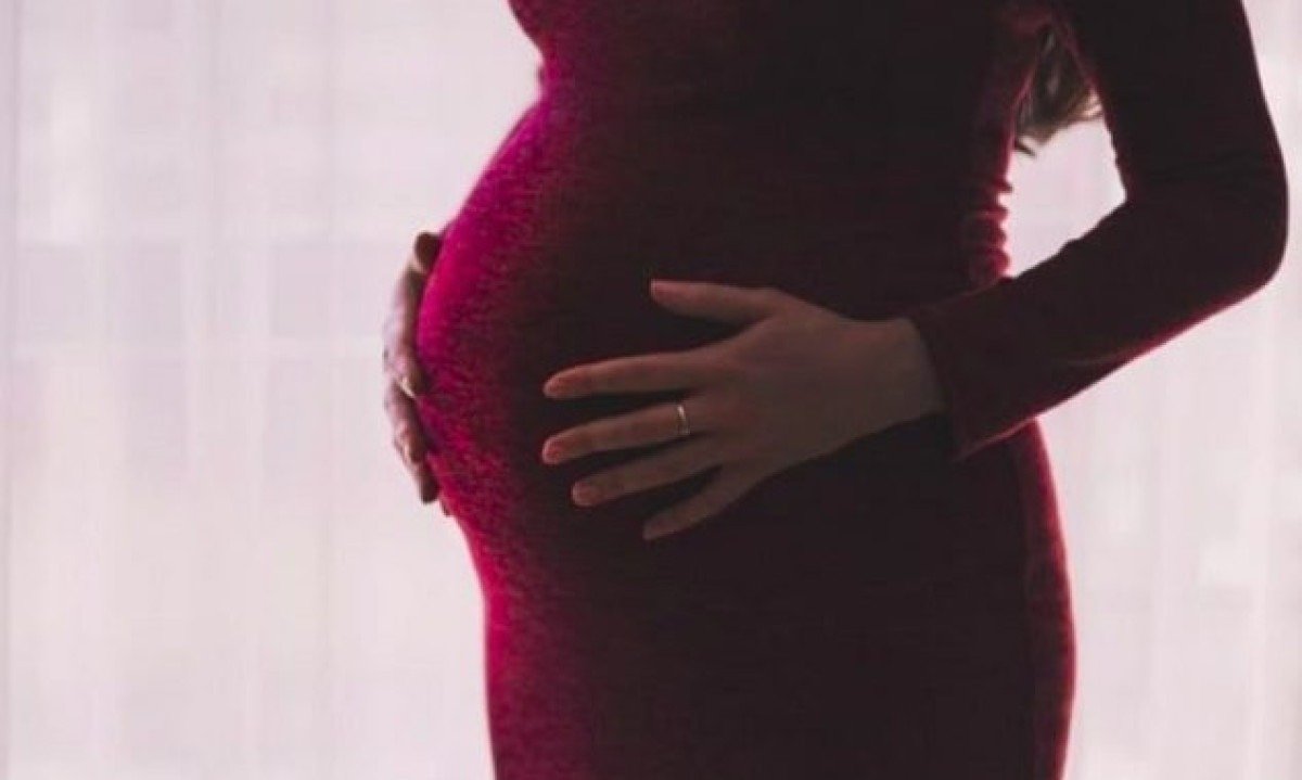 Os pesquisadores esperam que, no futuro, a versão sintética do anti-D possa ser usada para proteger gestantes em todo o mundo. -  (crédito: Pexels/Pixabay

)
