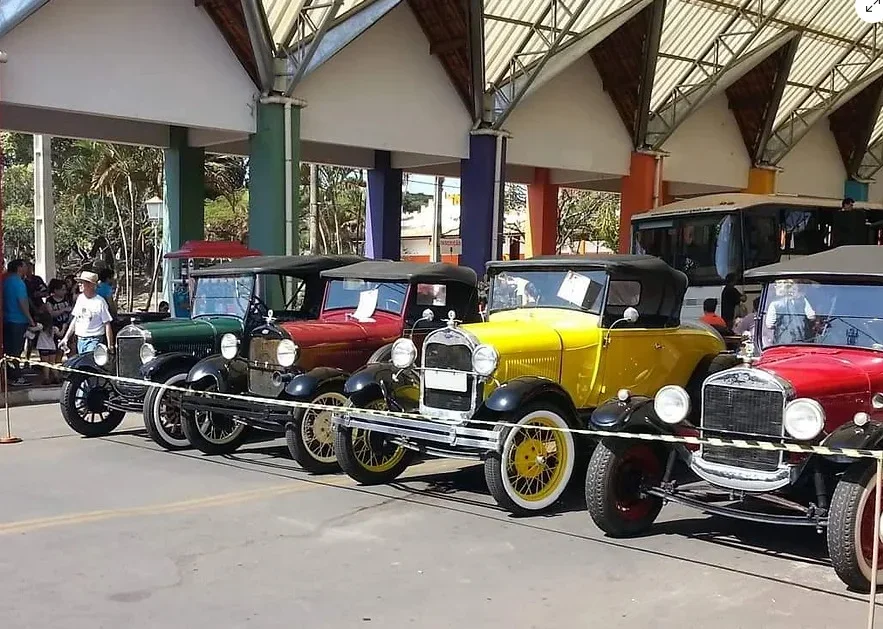 Outro evento em Holambra é o Encontro de Veículos Antigos. Anualmente, a cidade reúne mais de 200 automóveis e expositores vindos de todo o Brasil, muitos deles com placas pretas, que sinalizam carros de colecionadores.
