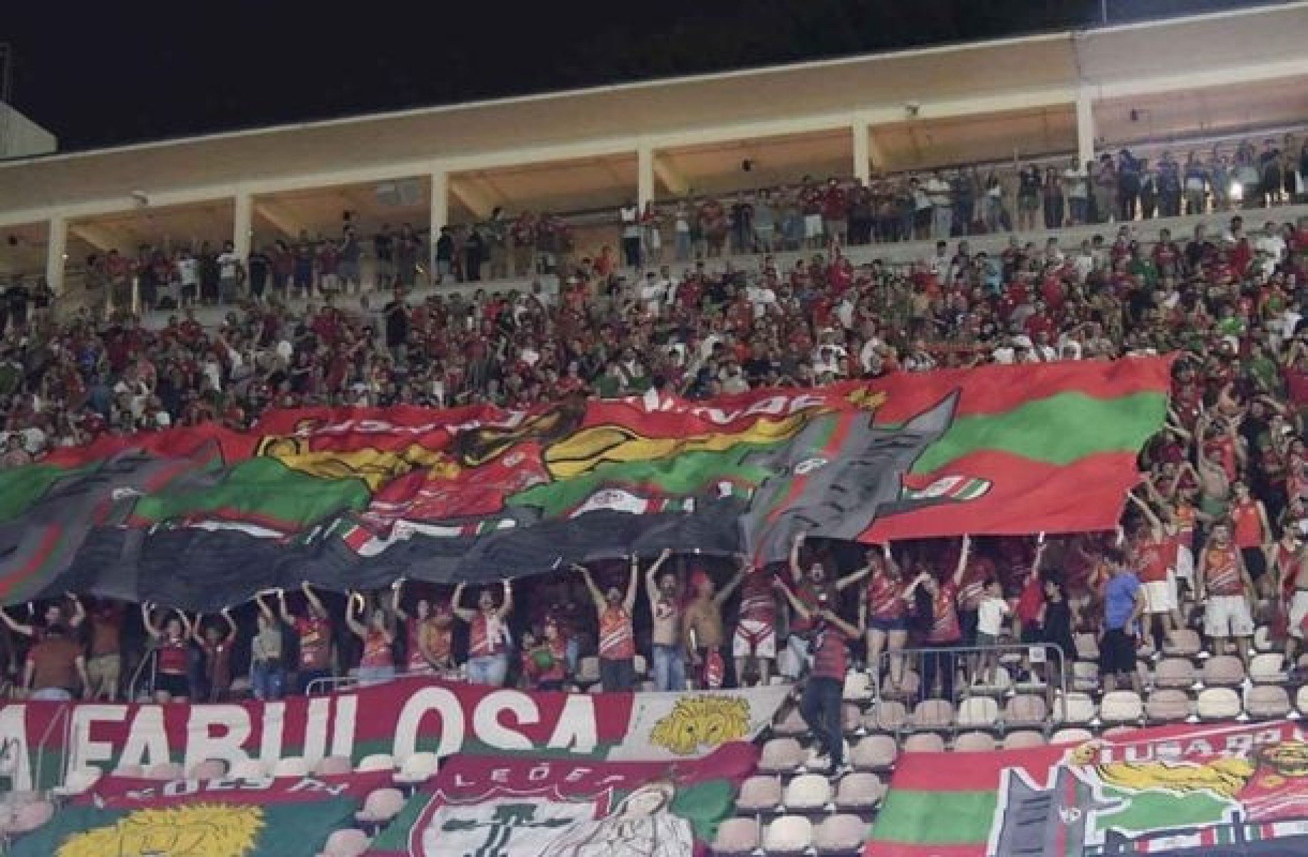 Portuguesa encerra processo para criação da SAF