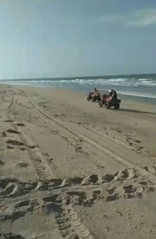 Mas há um problema. É que, além de caminhar e se banhar, turistas usam carros e motos para se divertir na faixa de areia das praias. E ocorrem casos de atropelamento das tartaruguinhas.-Reprodução Tv Globo