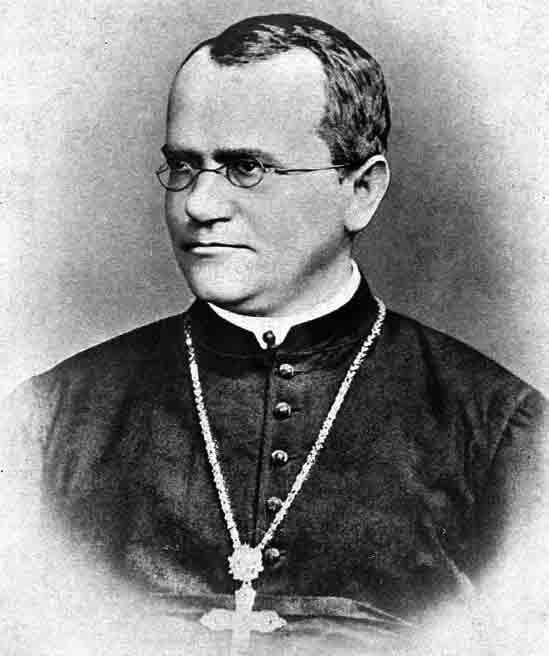 GREGOR MENDEL (1822–1884):
Conhecido como o "pai da genética", Mendel descobriu os princípios da hereditariedade ao estudar ervilhas.