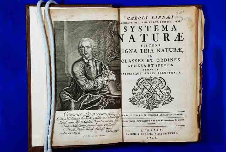 Este sistema, apresentado em sua obra "Systema Naturae" (1735), permitiu uma comunicação científica mais clara e precisa, facilitando o estudo e a catalogação da biodiversidade mundial. A obra de Linnaeus proporcionou uma base para a organização do conhecimento biológico e para o desenvolvimento das ciências biológicas, promovendo um entendimento mais estruturado sobre a diversidade da vida na Terra.