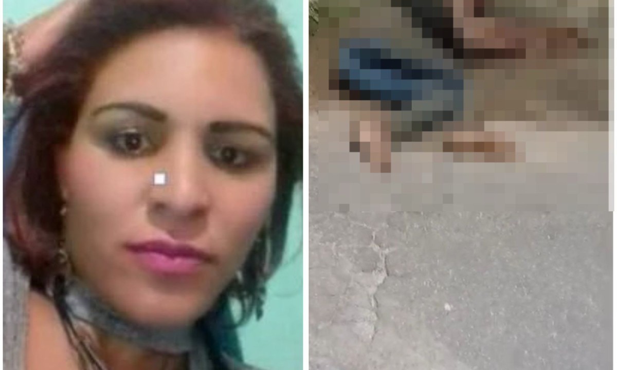 A dona do animal foi localizada e detida pela pol&iacute;cia  -  (crédito: Reprodu&ccedil;&atilde;o/Redes Sociais )