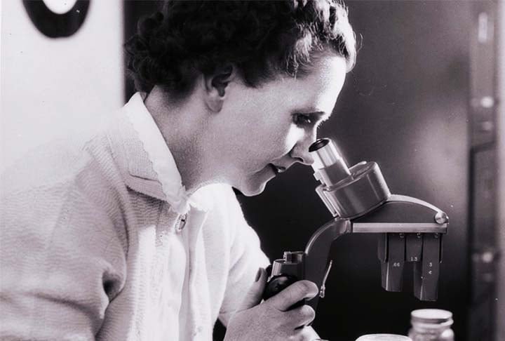 RACHEL CARSON (1907â??1964):
Autora do livro "Primavera Silenciosa", que alertou sobre os perigos dos pesticidas para o meio ambiente.