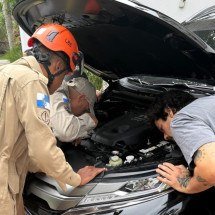 Bombeiros do Rio salvam gato de Giovanna Ewbank - Divulgação/PMERJ
