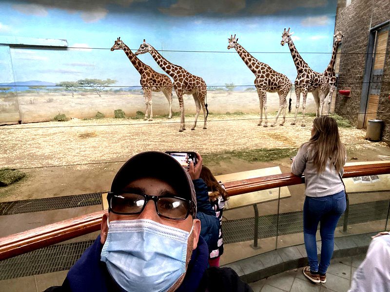 As áreas do zoológico reproduzem o ambiente de onde os bichos são originários, como florestas tropicais ou savanas africanas. Além disso, o parque também é um lugar para ajudar e preservar várias espécies.