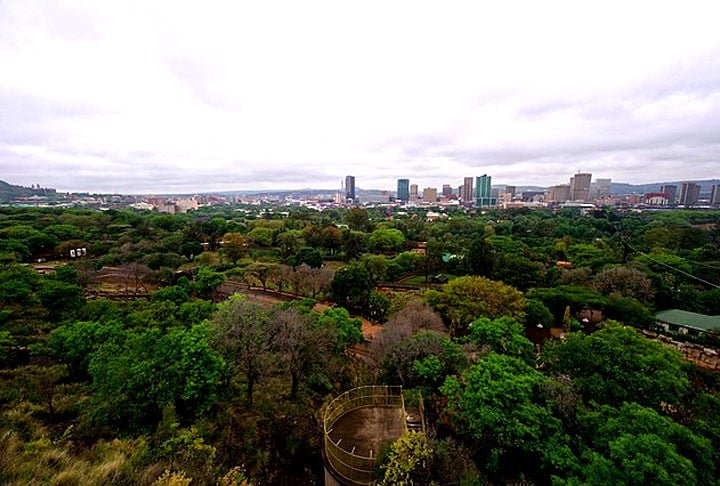  National Zoological Gardens of South Africa, África do Sul: Como era de se esperar, o zoológico encantador em Pretória, África do Sul, tem a maioria dos animais selvagens africanos. São mais de 9 mil!