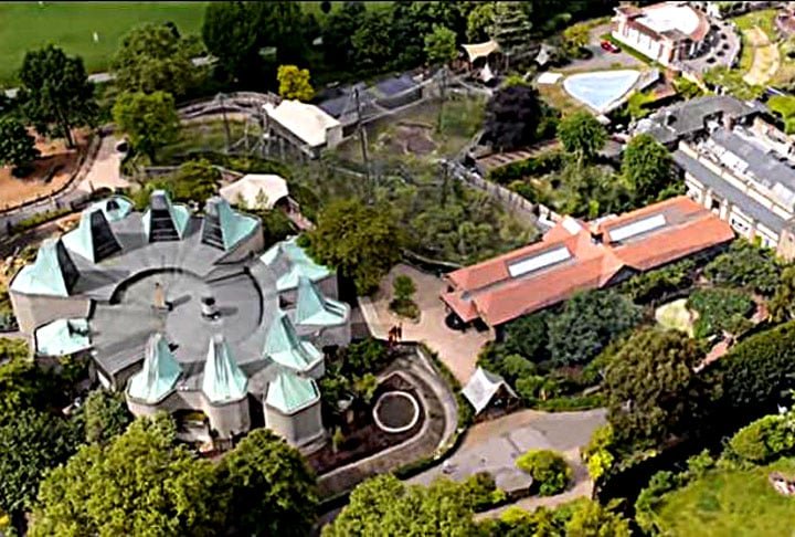 ZLS London Zoo, Inglaterra: Inaugurado em 1828, esse é um dos zoológicos mais antigos do mundo! Ele fica localizado dentro do Regent’s Park, bem no centro da cidade, e conta com mais de 16 mil animais.