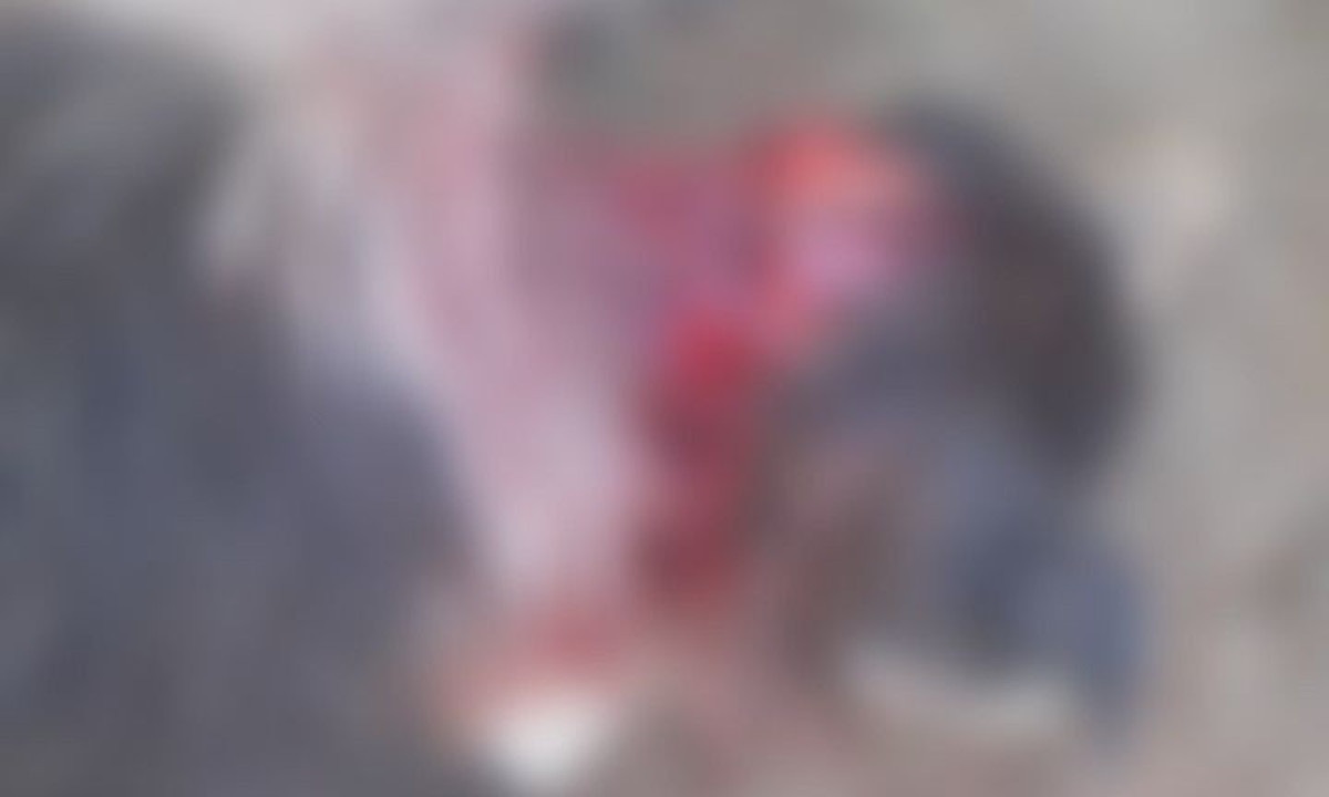 As mortes ocorreram em diferentes bairros -  (crédito: Reprodução/Arquivo pessoal)