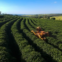 Tarifas de Trump abrem chance ao agro brasileiro -  Getty Images