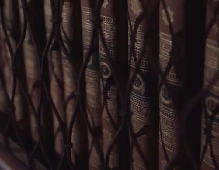 Todo o projeto recebeu apoio financeiro do Conselho Europeu de Pesquisa (ERC).