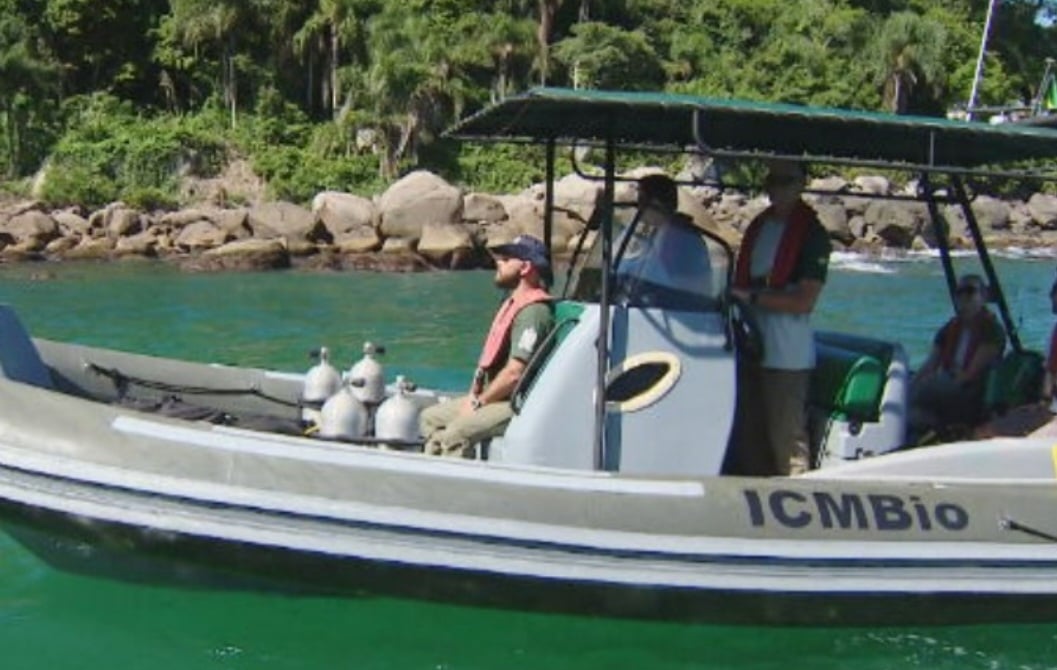 Desde 2018 o Ministério do Meio Ambiente e órgãos vinculados a ele, como o Ibama , fazem monitoramento e tentam evitar a proliferação do coral-sol .
