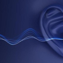O som que faz 'curva' e chega só ao seu ouvido no meio da multidão - Jiaxin Zhong et al./PNAS, CC BY-NC-ND