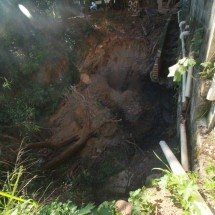 BH: erosão coloca casas vizinhas à Mata do Planalto em risco - Edesio Ferreira/EM/D.A Press