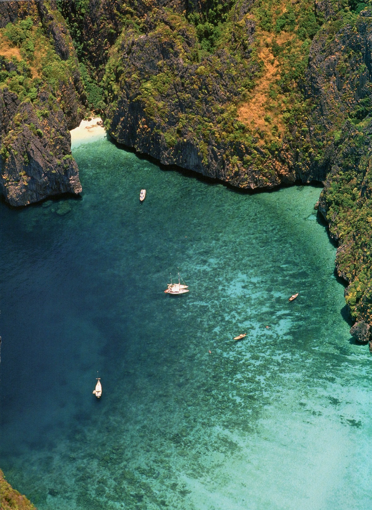 Ilha na Tailandia
      - Reproducao