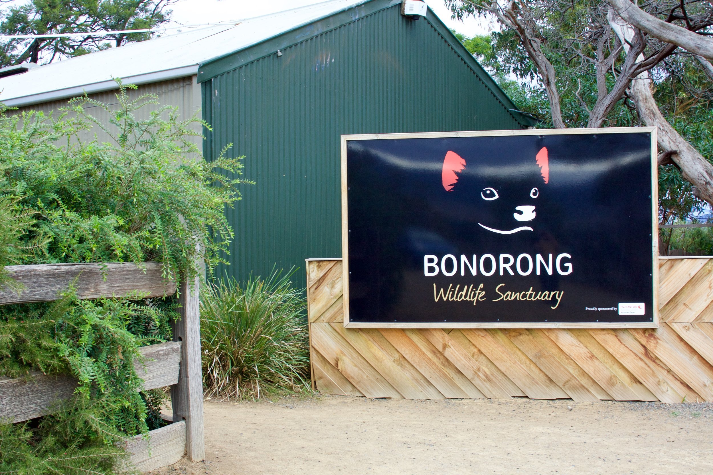 O nome 'BONORONG' é derivado de uma palavra aborígene que significa 'companheiro nativo'.-Facebook/Bonorong Wildlife Sanctuary