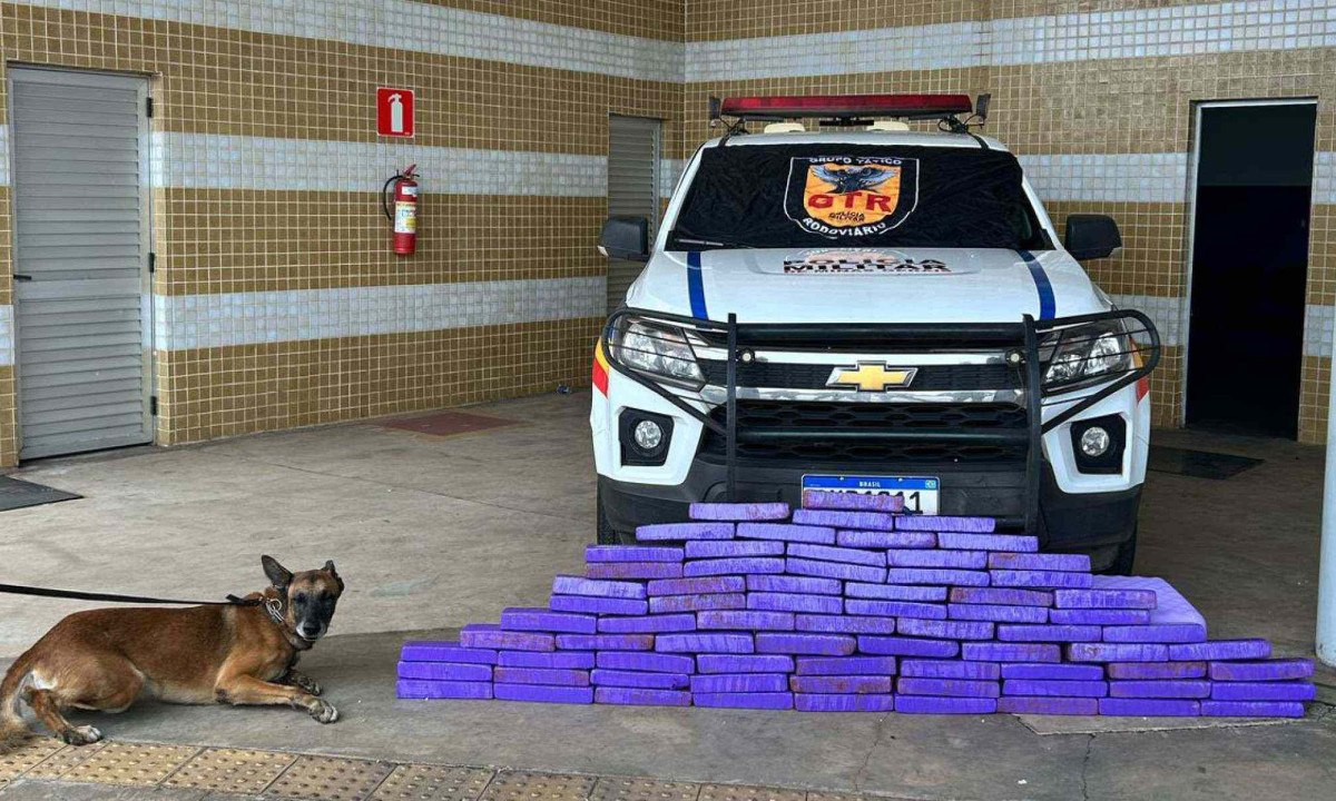 Cão farejador ajudou a identificar 70 barras de maconha que seriam transportadas do paraguai para o Nordeste -  (crédito: PMMG)
