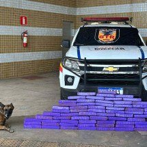 PM apreende droga da fronteira na rodoviária de shopping de Betim - PMMG