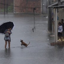 Chuvas deixam quase 200 desalojados no Rio de Janeiro - Pablo PORCIUNCULA / AFP