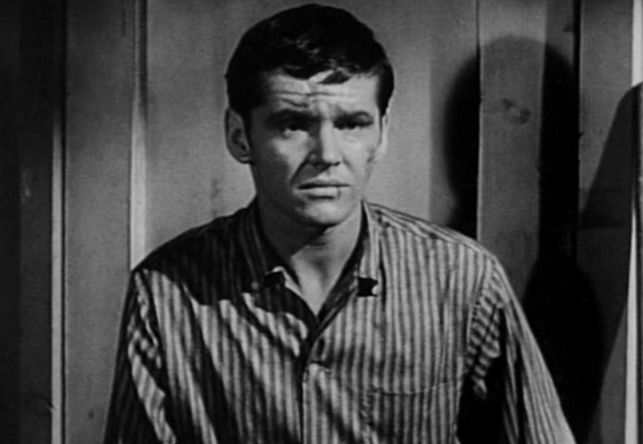 Sua jornada nos cinemas começou em 1958, com o filme "The Cry Baby Killer". Nos anos seguintes, fez várias participações em filmes B e séries de TV, conquistando reconhecimento pouco a pouco.