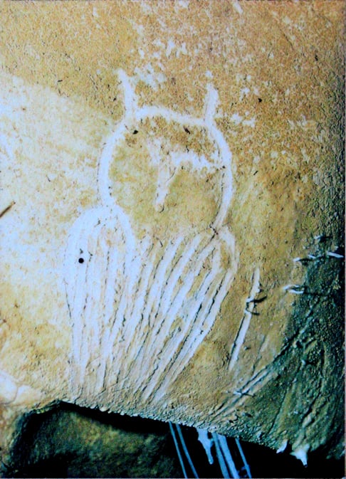 A coruja Ã© frequentemente associada Ã  sabedoria em diversas culturas, especialmente na mitologia grega, onde Atena, a deusa da sabedoria, era frequentemente representada acompanhada por uma coruja. 