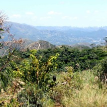terreno desmatado em área de recarga de olhos d’água na cidade de Rio Acima, Grande BH