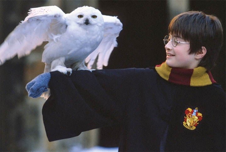 Harry Potter Ã© o protagonista da sÃ©rie de livros de fantasia de mesmo nome. O jovem bruxo descobre sua verdadeira natureza mÃ¡gica no seu 11Âº aniversÃ¡rio, quando recebe uma carta de aceitaÃ§Ã£o para estudar na Escola de Magia e Bruxaria de Hogwarts.