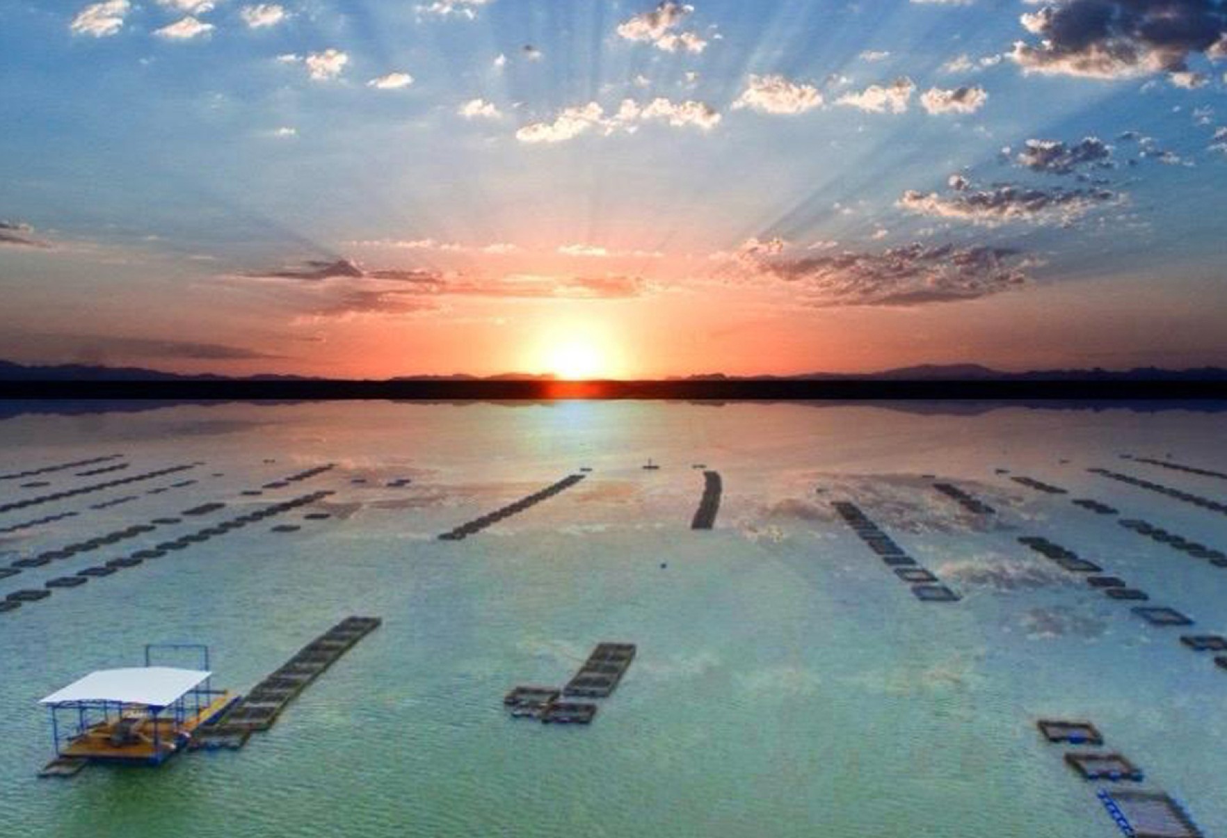 Condições climáticas na região da represa de Três Marias favorece a alta produtividade da piscicultura no estado Condições climáticas na região da represa de Três Marias favorece a alta produtividade da piscicultura no estado