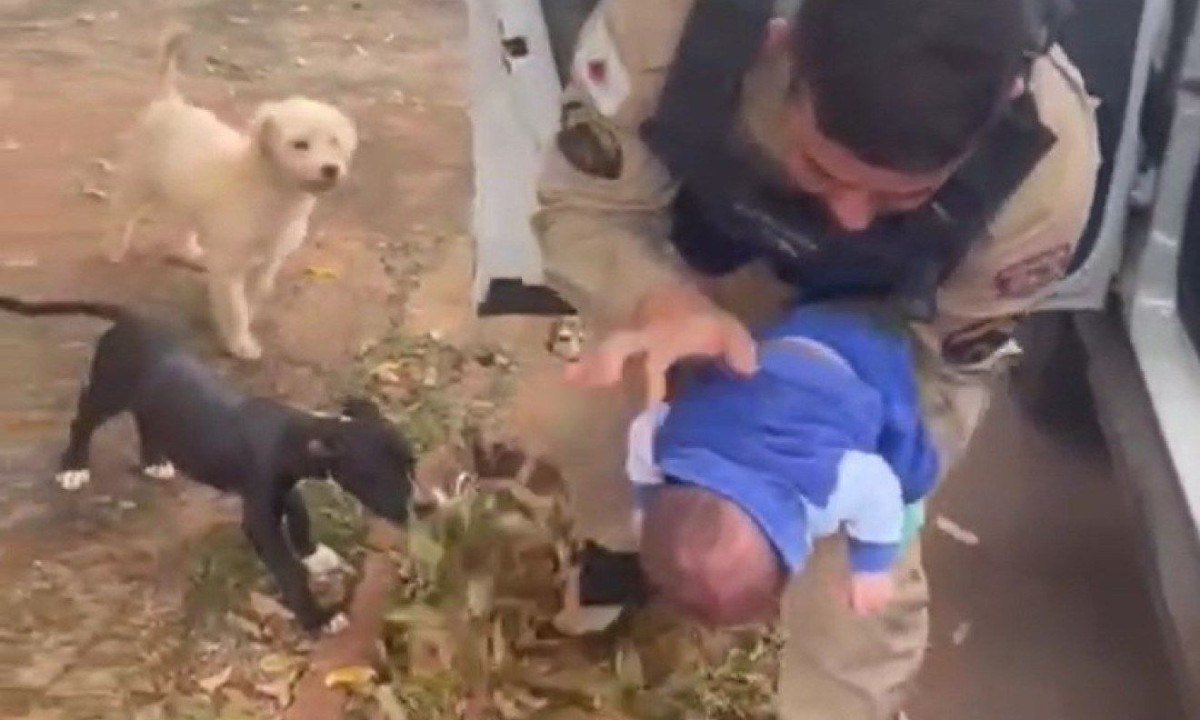 Policial fez manobra de Heimlich para salvar recém-nascido engasgado -  (crédito: PMMG/Divulgação)
