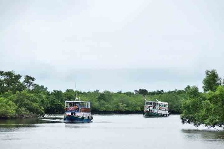 Khulna é conhecida por sua indústria de pesca e pelo porto de Mongla, que é o segundo maior do país. A cidade também está próxima da Floresta de Sundarbans, um dos maiores manguezais do mundo e lar do tigre-de-bengala.