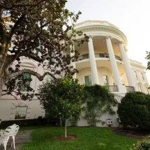 Trump determina retirada de árvore centenária da Casa Branca: "Um risco" - Divulgação/NPS/Kelsey Graczyk