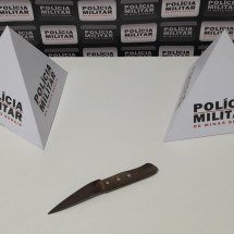 Sogro é preso por bater em moto e esfaquear genro em Minas - PMMG/Divulgação