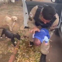 Policial salva recém-nascido engasgado em Minas - PMMG/Divulgação