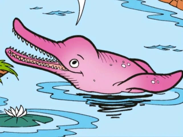 Boto Cor de Rosa - Lenda da região Norte, principalmente na Amazônia, onde o boto vive nos rios e igarapés. De acordo com a narrativa, o animal busca a civilização, no período da noite. 