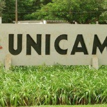 O poder antioxidante das dascas de jabuticaba - Divulgação/Unicamp