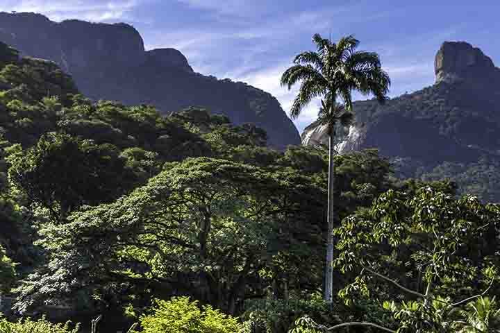 A Floresta da Tijuca, onde fica o hotel, é uma das maiores florestas urbanas do mundo.