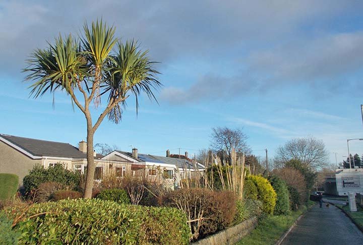 A cidade é arborizada e, por estar no País de Gales, tem clima úmido e com vento , uma característica da região, sendo que ela fica a apenas 38 metros do nível do mar,