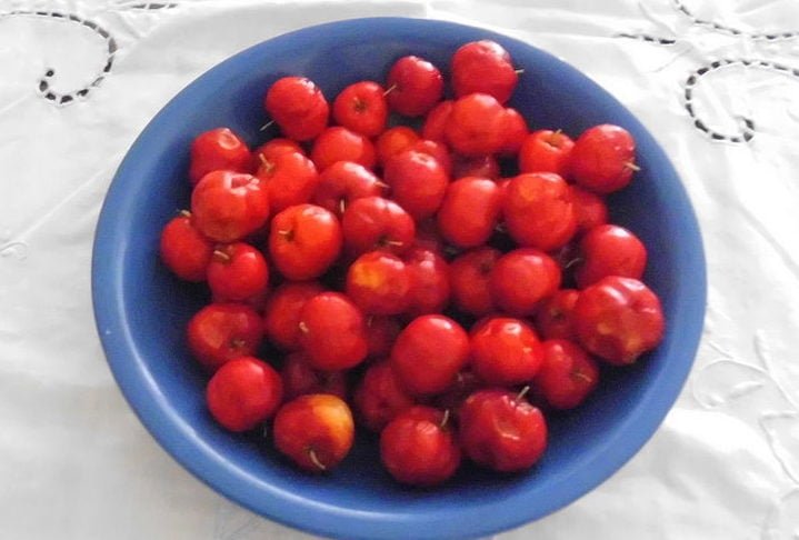 Conheça mais sobre essa fruta tão importante para a saúde.