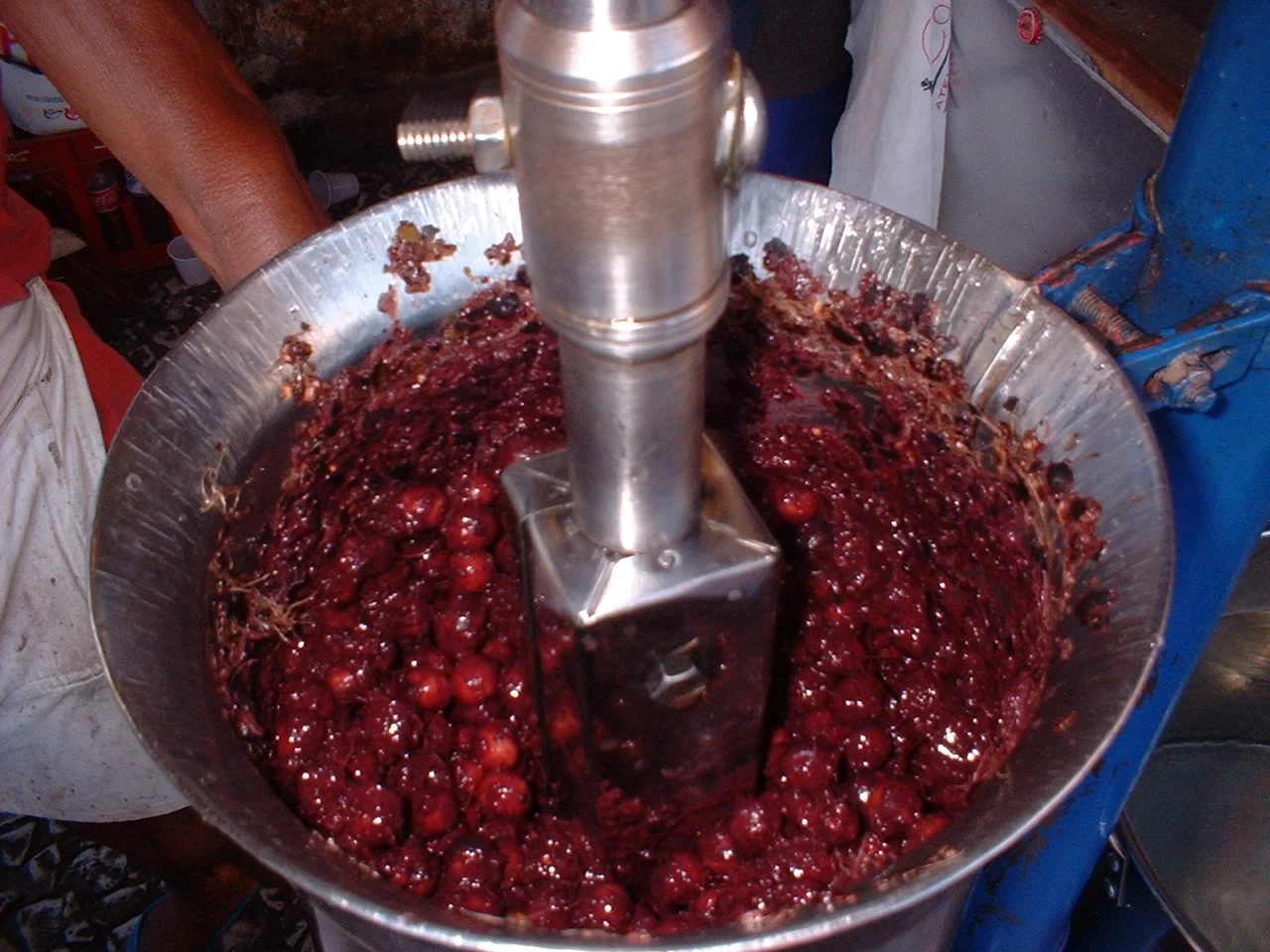 Além da jabuticaba, outras frutas brasileiras também apareceram na lista. Entre elas, está o açaí, contemplado no top 10 das melhores do mundo, com uma avaliação de 4,5 estrelas.