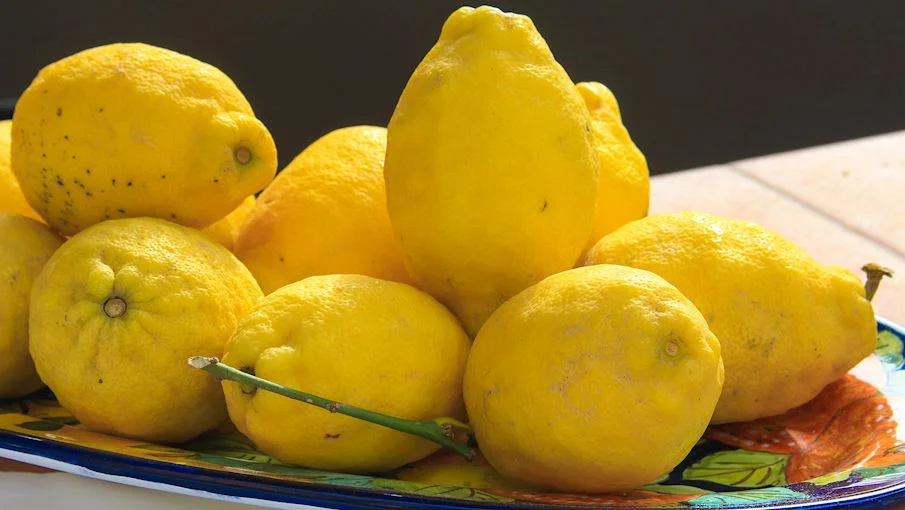 9. Limão Sorrento: É conhecido como Limone di Massa Lubrense ou Massese , em homenagem a uma pequena comunidade de aldeias estabelecidas na ponta da Península Sorrentina. Esses limões perfumados, portanto, são derivados do ecótipo local Ovale di Sorrento e cultivados na província de Nápoles desde o Renascimento.