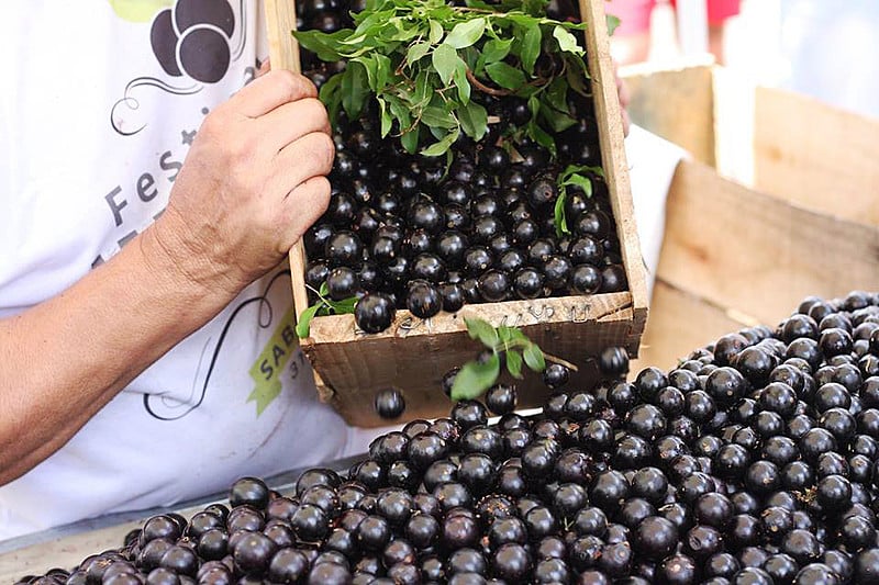 Para a lista das frutas mais bem avaliadas do mundo”, foram registradas 4.378 avaliações em novembro de 2023.  De acordo com o Taste Atlas, o objetivo é promover a comida local, inspirar orgulho nos pratos tradicionais e despertar a curiosidade por alimentos ainda não experimentados. Veja as 10 melhores da lista.