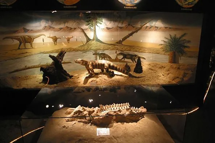 Museu dos Dinossauros, Uberaba, Minas Gerais: Esse museu guarda mais de 3 mil exemplares de fósseis. São ossadas de 66 a 80 milhões de anos.