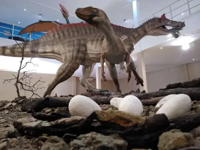 Museu de Paleontologia Plácido Cidade Nuvens: Fica em Santana do Cariri, a 523 km da capital Fortaleza, no Ceará. A pequena cidade, de 18 mil habitantes, é uma potência na pesquisa de fósseis. É chamada "Capital Cearense da Paleontologia".